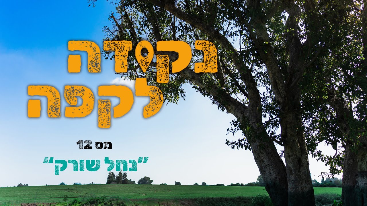 נקודה_לקפה  מס 12 - נחל שורק