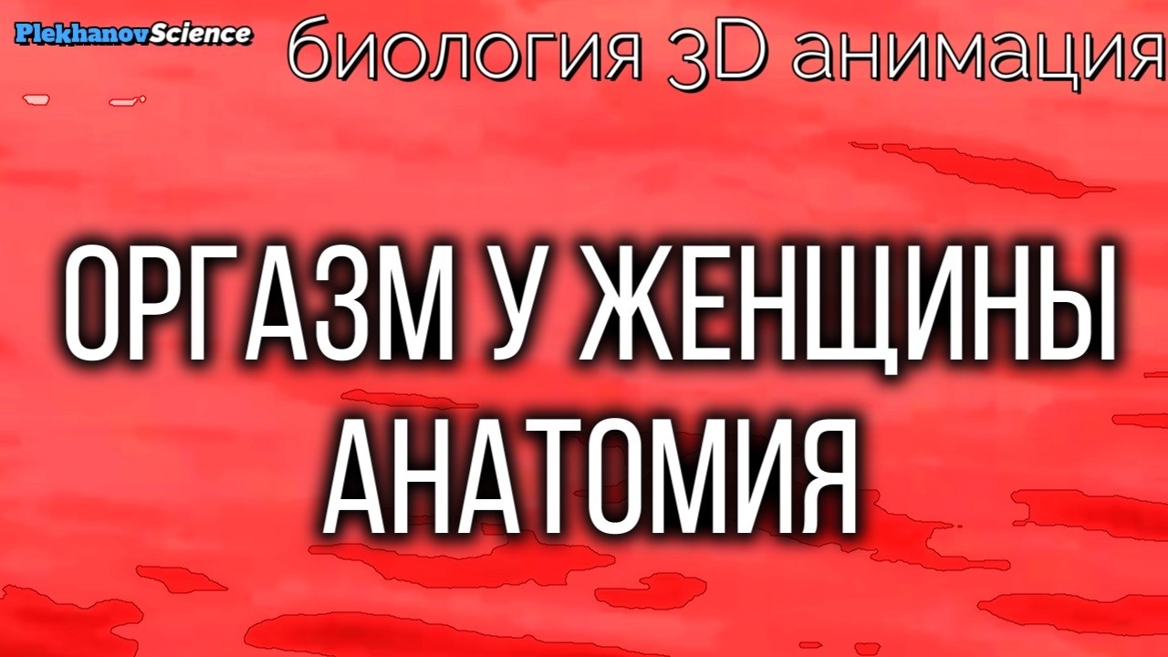 Оргазм у женщины анатомия биология 3D анимация