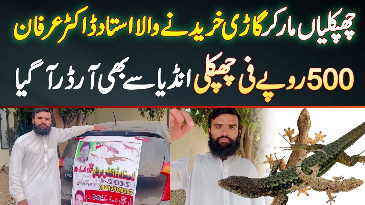 Chipkali Mar Kar Car Kharidne Wala Ustad Dr Irfan - Ek Lizard Ke 500 Rupees - India Se Order Aa Gaya