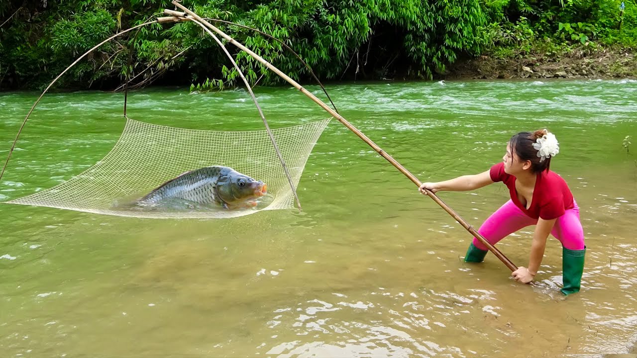 Fishing Techniques on Rivers, How To Trap Stream Fish and Traditional Fishing with Net | Mai Fishing