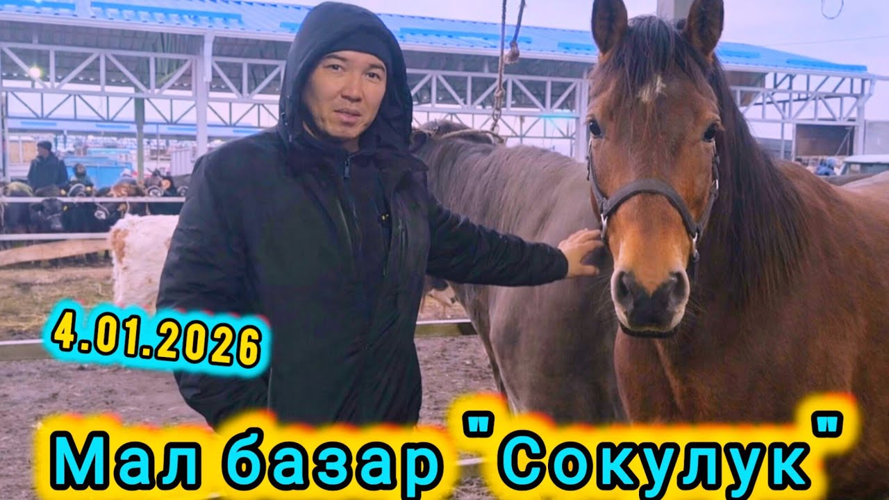 МАЛ БАЗАР СОКУЛУК 4 ЯНВАРЬ 2026Ж. МАЛ АБДАН КӨП ЭКЕН.#малбазар #итбазар #барахолка 
