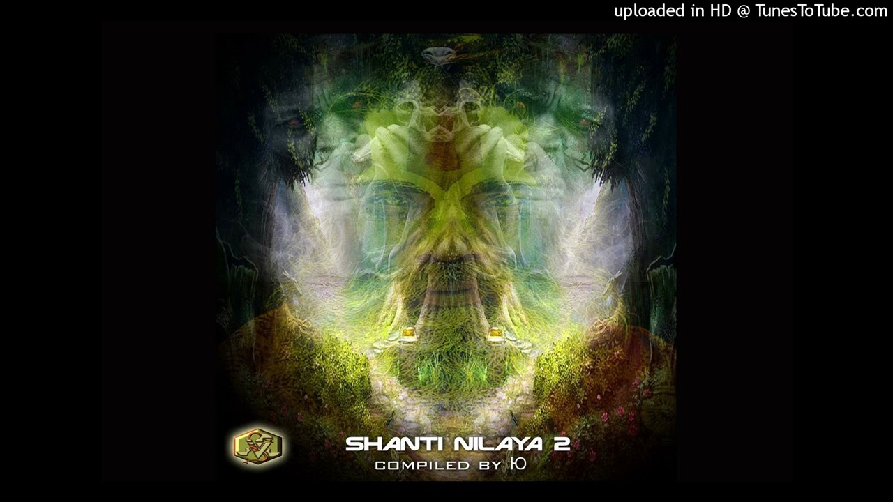 Visionary Shamanics - Accidental Dub Session
