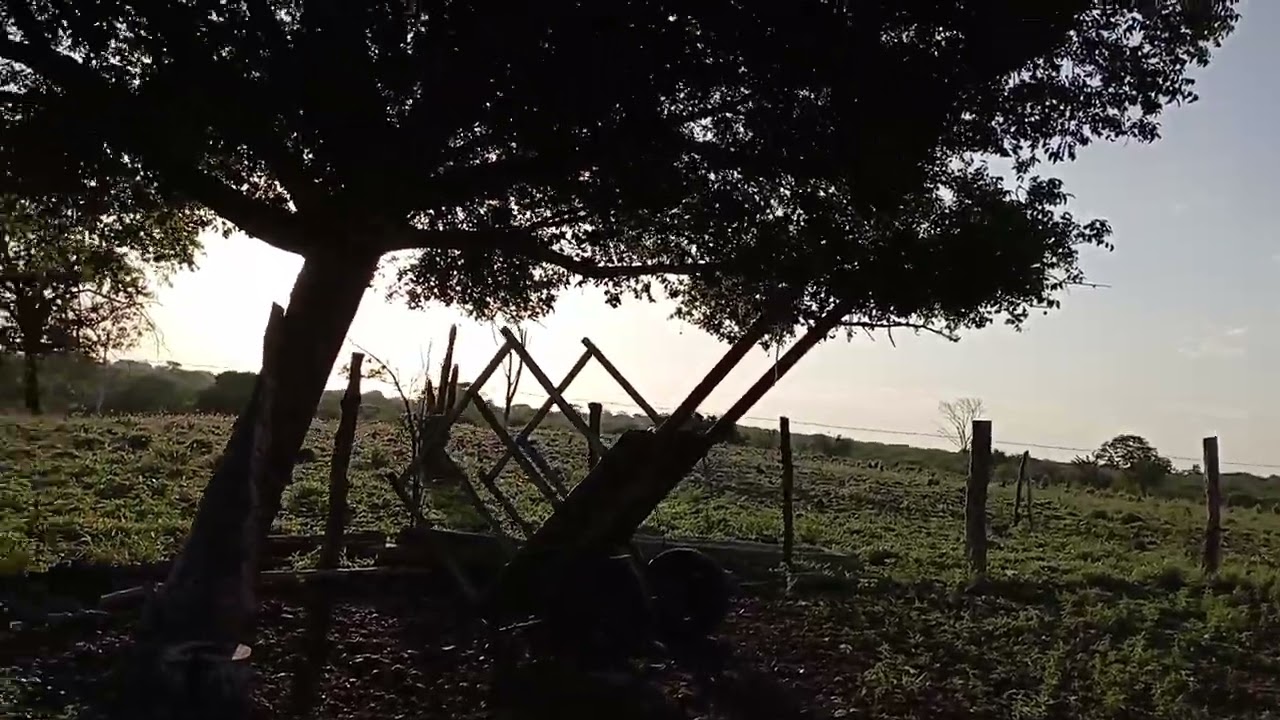 Meus sogros,moraram aqui nessa casa, hoje só lembranças, já dorme no senhor,🥲@franadornooficial 