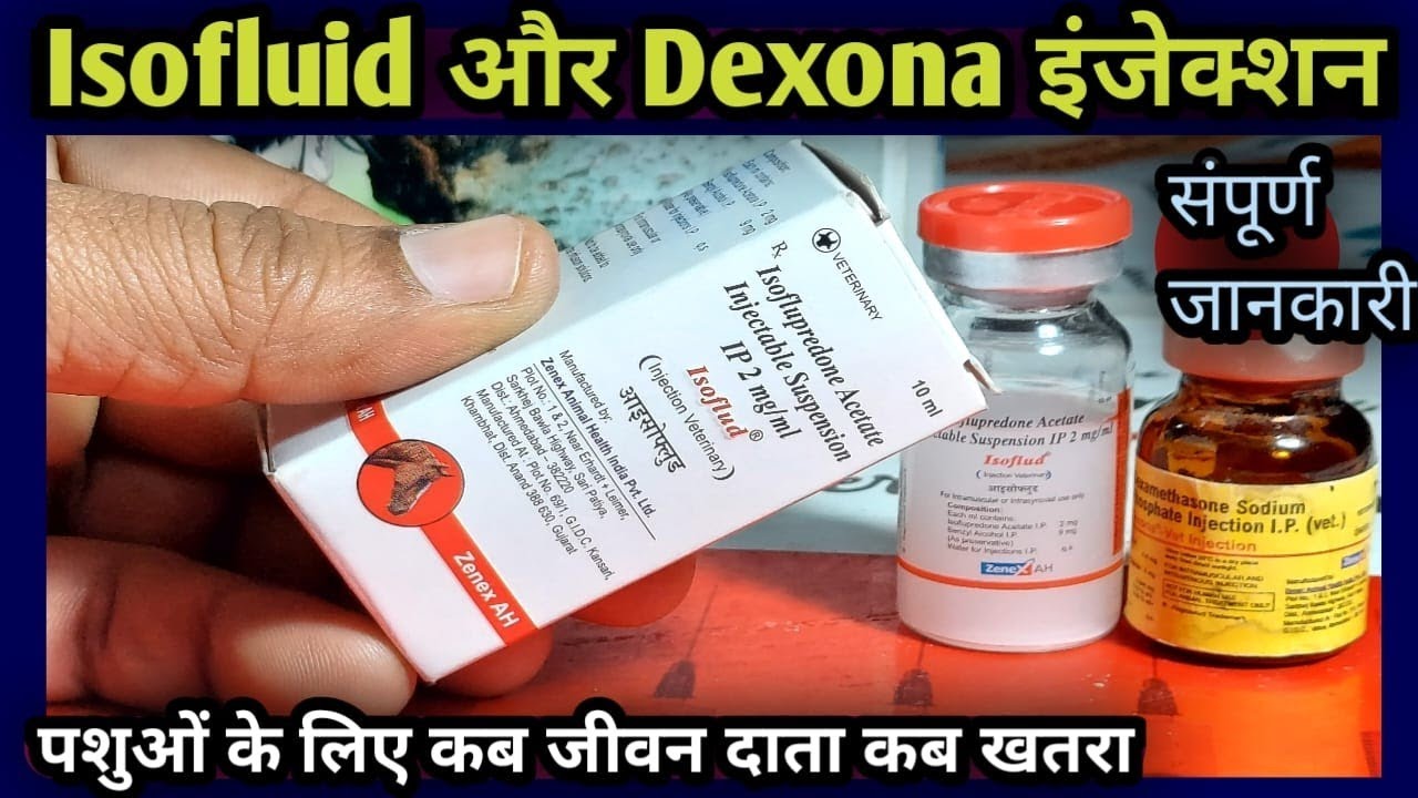 Isofluid और Dexona Injection पशुओं के लिए कब जीवन दाता कब खतरा||Isoflupredone & Dexamethasone 👉