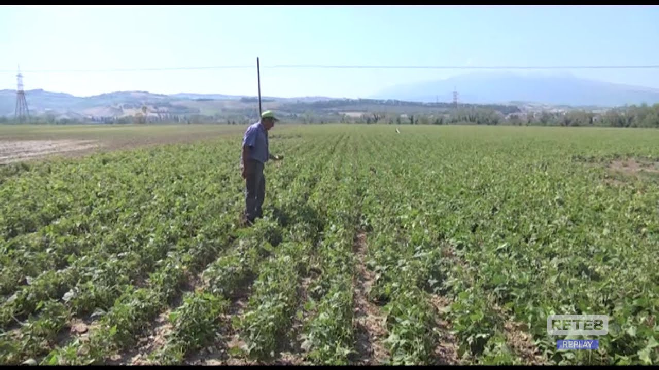 Abruzzo - In vigore l’ordinanza-caldo