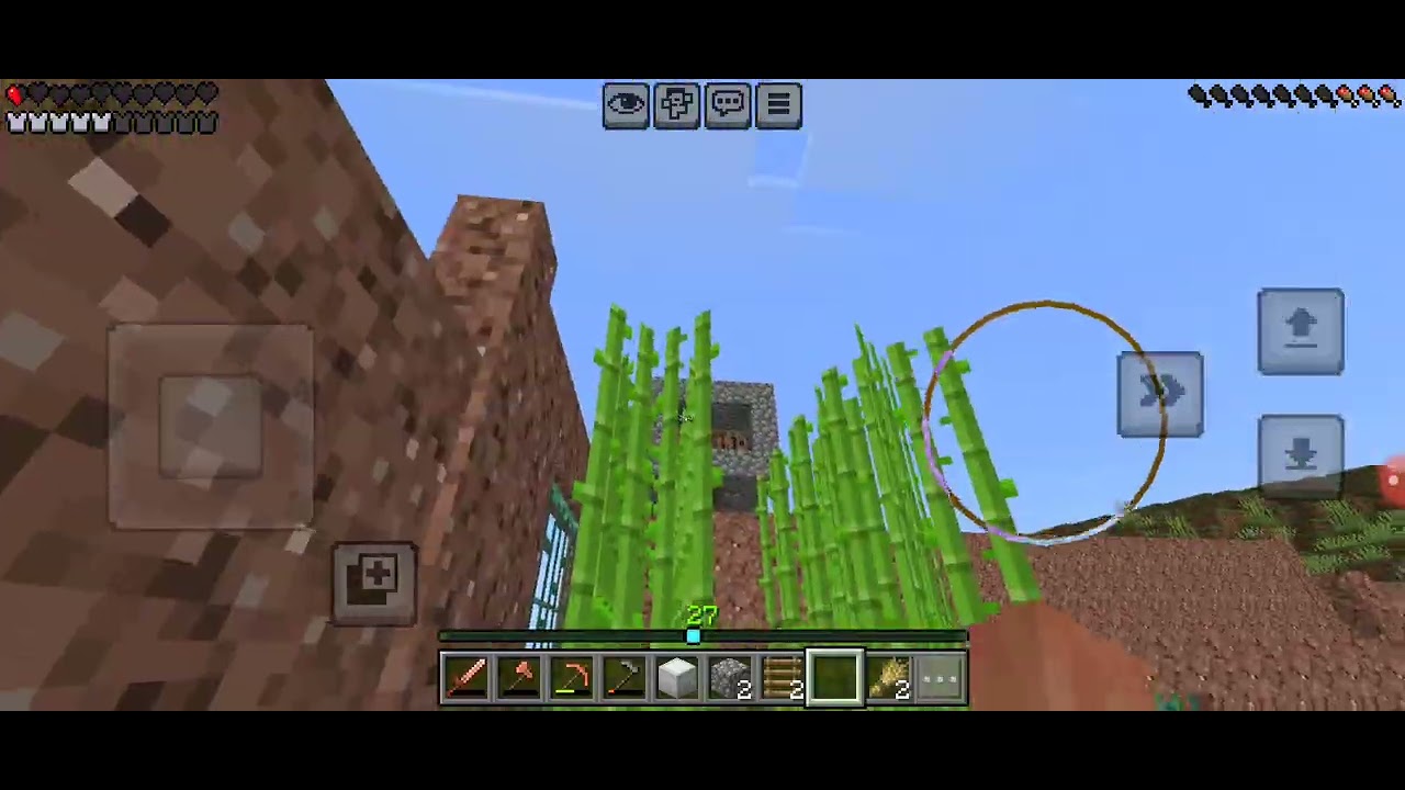 Minecraft_6