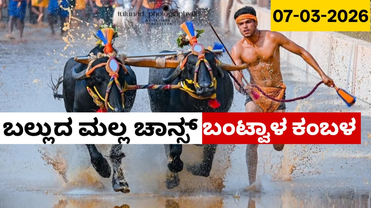 Balluda Malla Chance Bantwala Navoora Muduru Paduru Jodukare Kambala 2026
