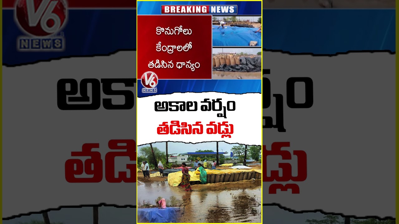 Paddy Submerged in Rain Water Due to Untimely Rains | V6 News