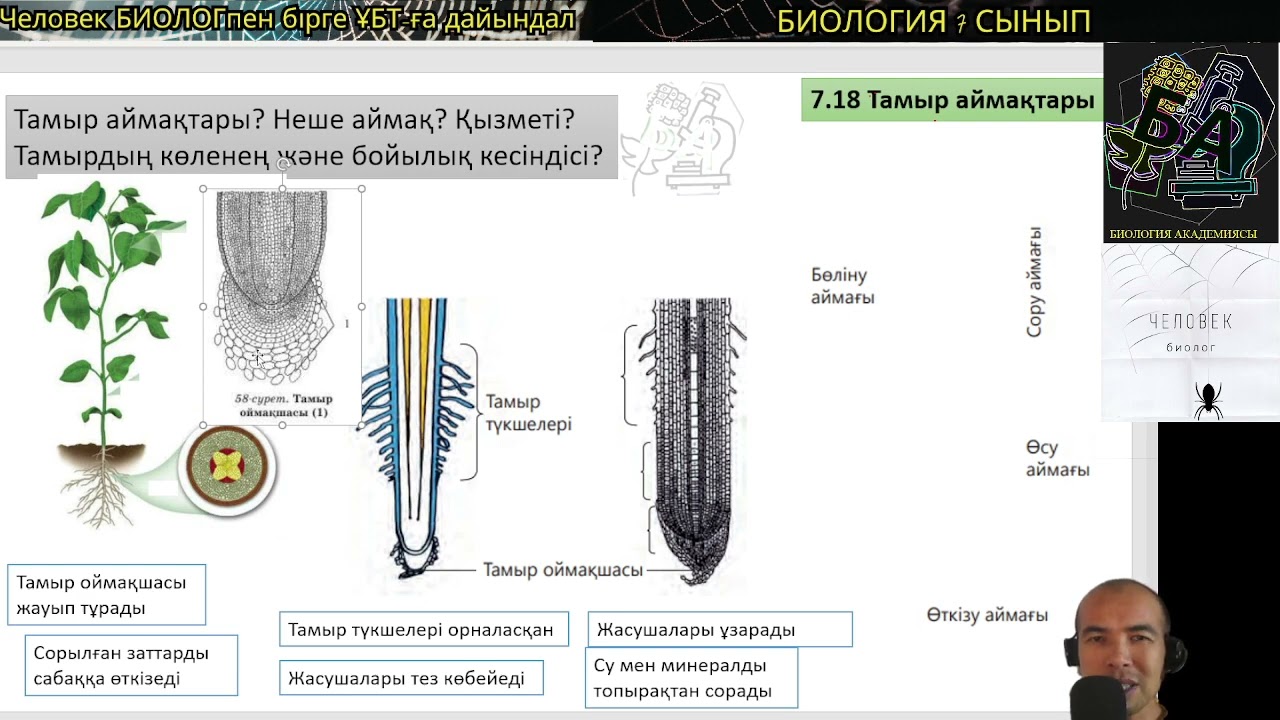 7.18.19. ТАМЫР? ТАМЫР АЙМАҚТАРЫ? #биология #7сыныпбиология #ұбтбиология