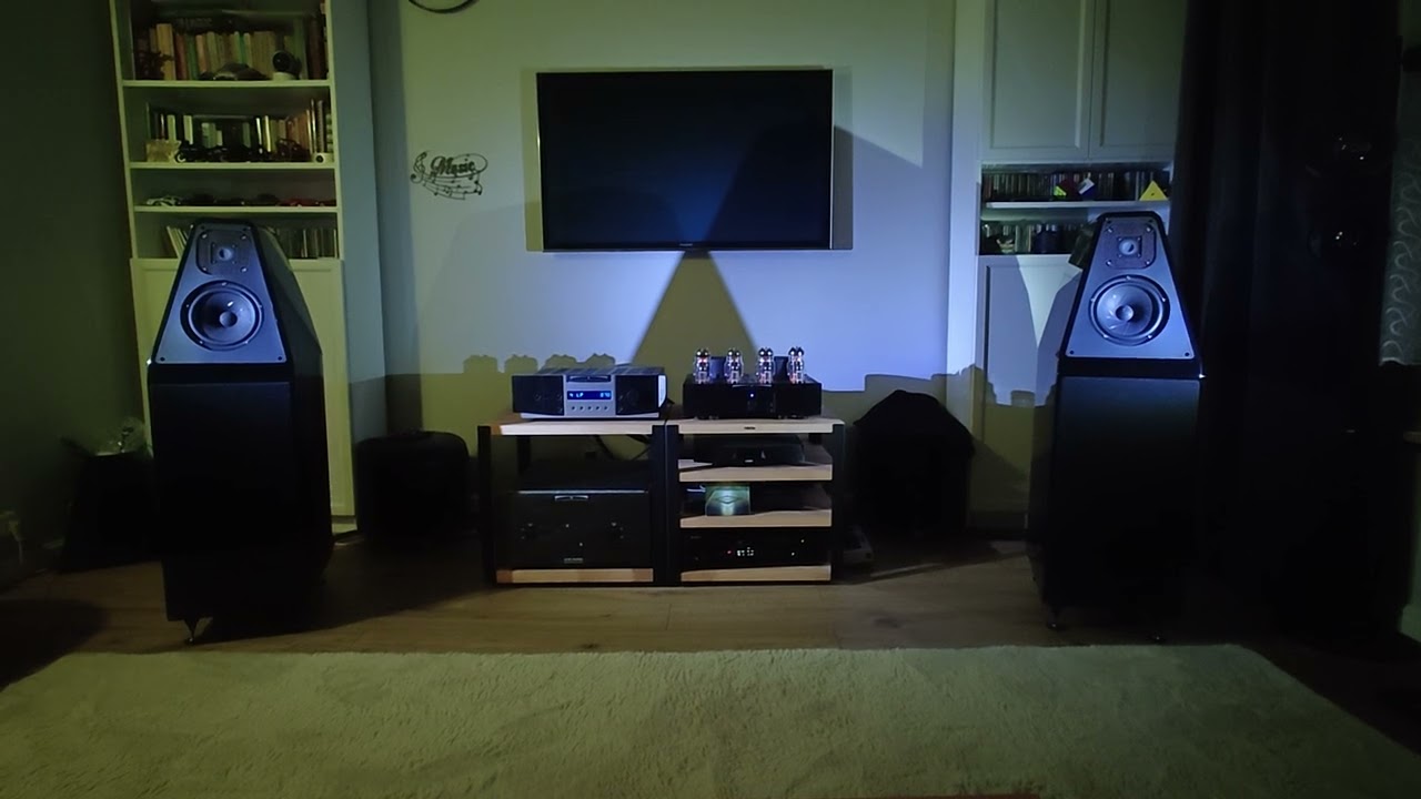 BAT VK55 + BAT VK51SE + Wilson Audio