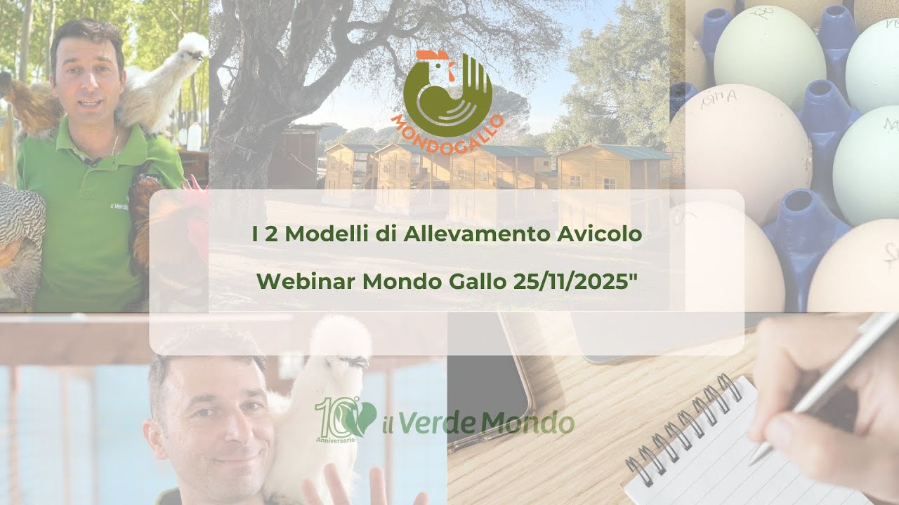 I 2 Modelli di Allevamento Avicolo | Webinar Mondo Gallo 25/11/2025&rdquo;