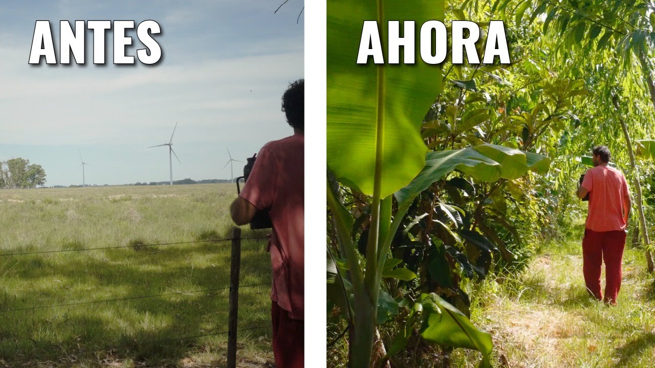 AGRICULTURA de BOSQUES - 12 años de Agrofloresta, Jardim das Acacias en Chuí Brasil