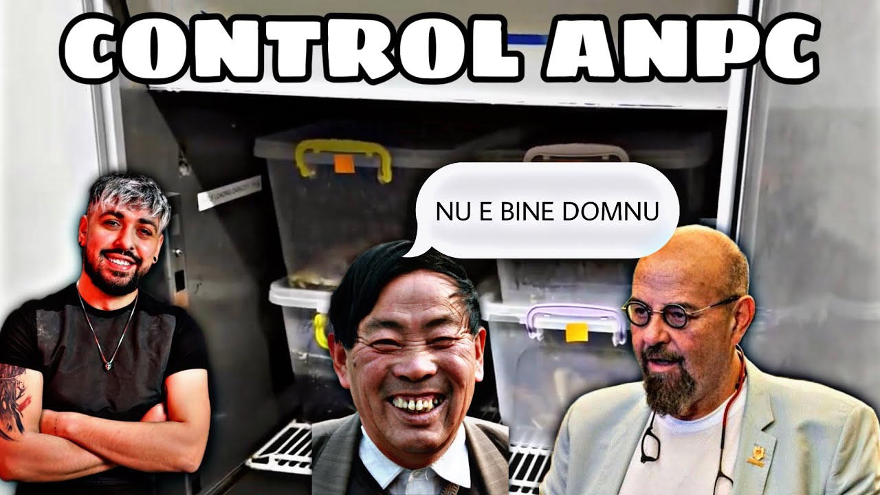 IMOGEN REACTIONEAZA LA PIEDONE ANPC SI CHINEZUL😂