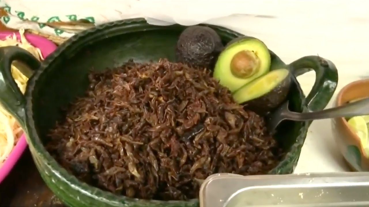 Xaachila: Comida Oaxaque&ntilde;a