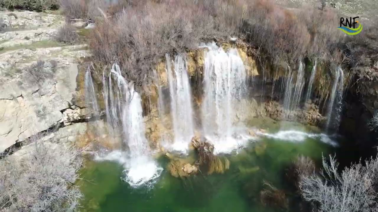Reserva Natural Fluvial del río Cabriel