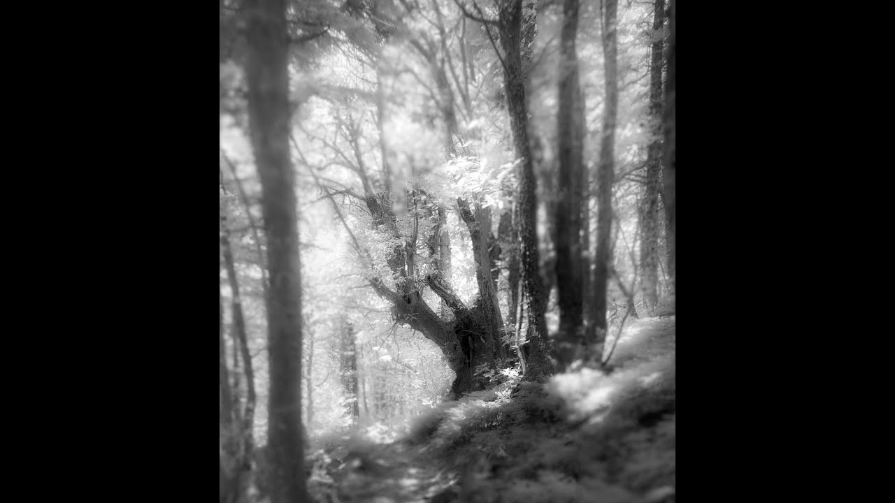 Steni-Dirfi-infrared photography