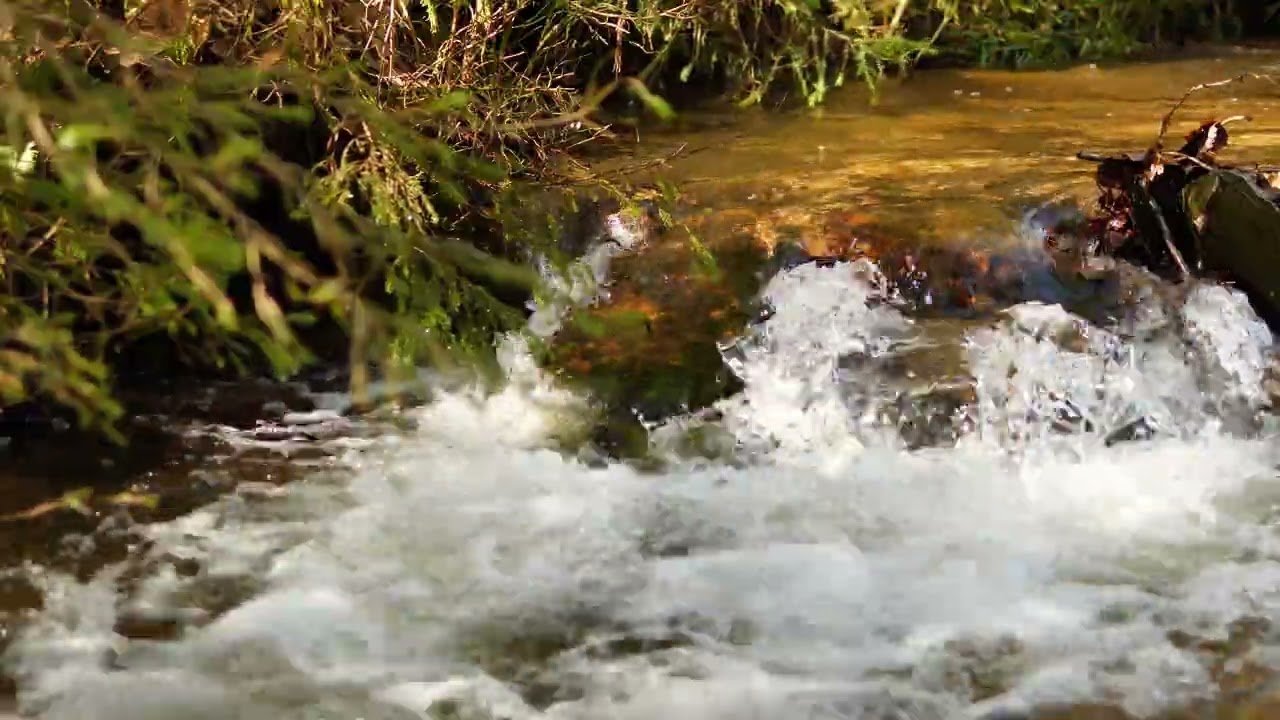 Bachgeflüster / Creek Sounds – 