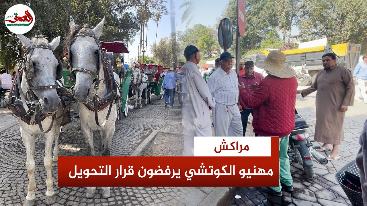 مهنيو الكوتشي بمراكش يرفضون قرار الباشا  ويتمسكون بساحة جامع الفنا