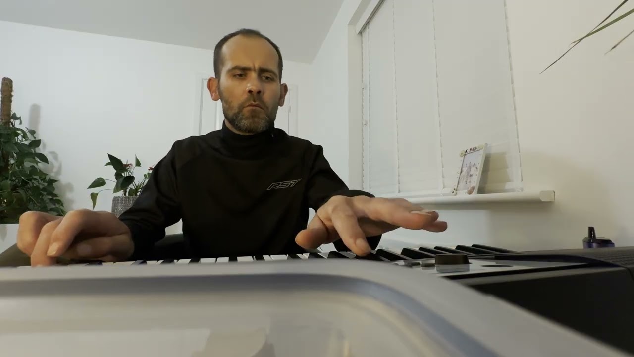 The winner takes it all Cover by Petr Musil