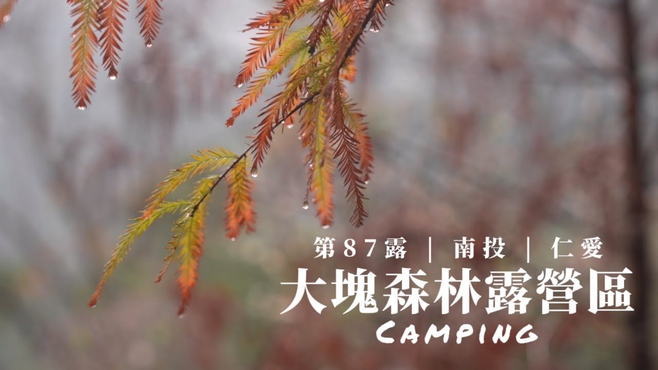 【露營】從城市到山林，在大塊森林找回露營的純粹 |大塊森林露營區|露營料理|ASMR|泰森兄妹|Family camping |南投仁愛|캠핑|キャンプ|直火料理|camping|家庭露營87露＃4K