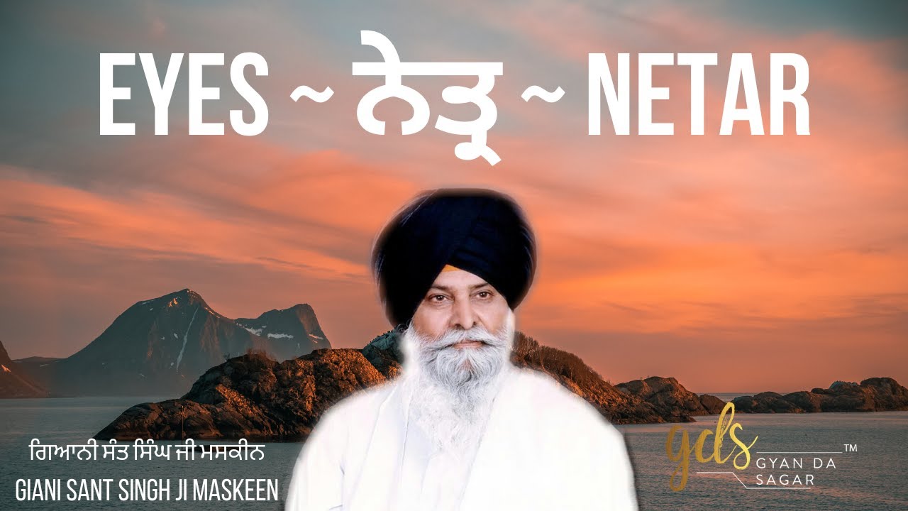 Netar ~ ਨੇਤ੍ਰ ~ Eyes | Giani Sant Singh Ji Maskeen Katha | Gyan Da Sagar