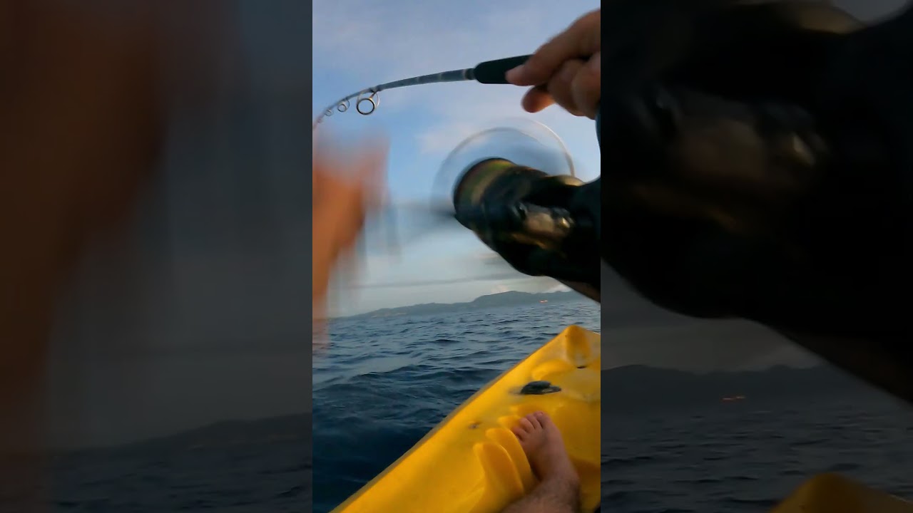 Un GROS WAHOO me TRACTE en KAYAK !  #fishing #cara&iuml;bes #exo #Wahoo #peche #mer #poisson