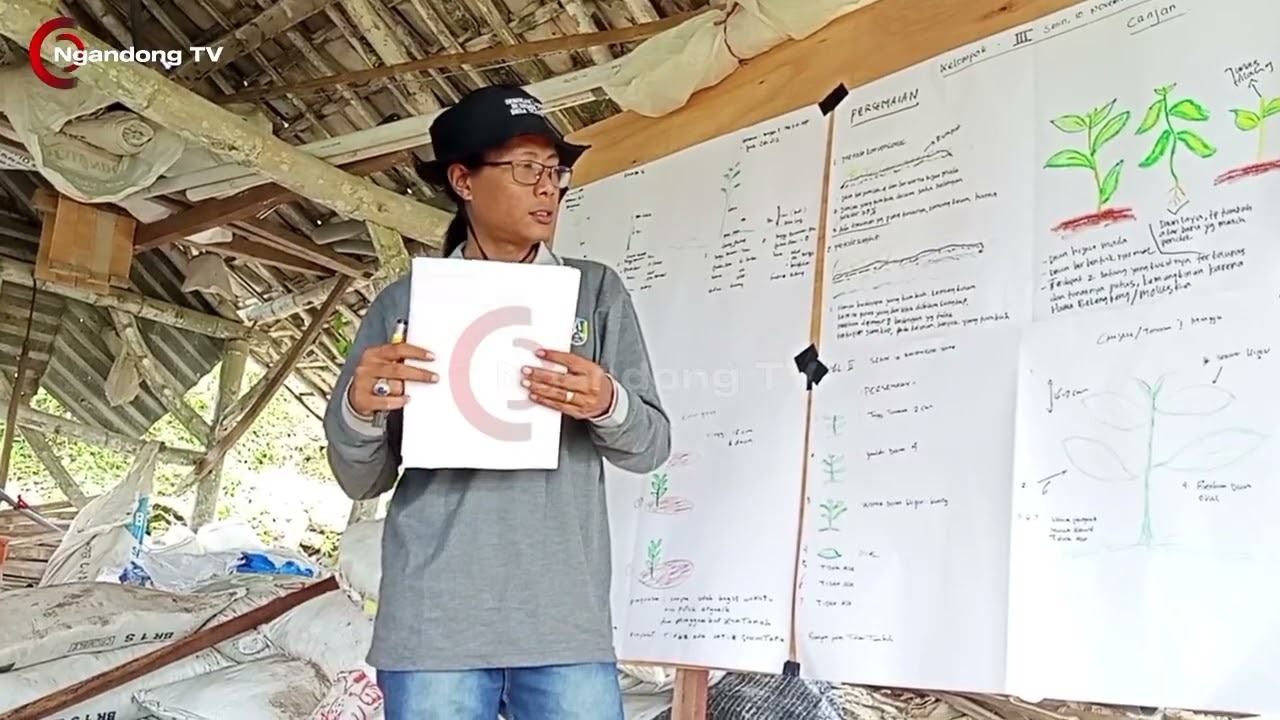 PRESENTASI DARI KELOMPOK II || SL DESA NGANDONG