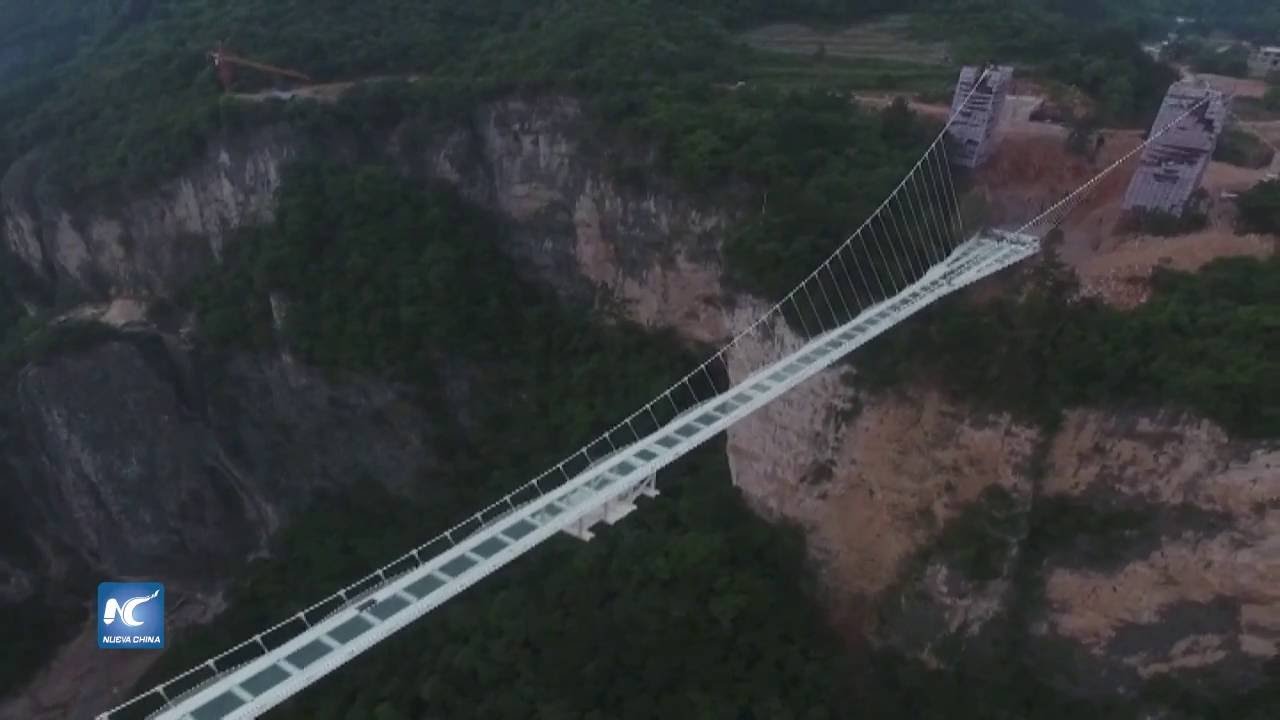 Desafía el puente de cristal en el Gran Cañón Zhangjiajie