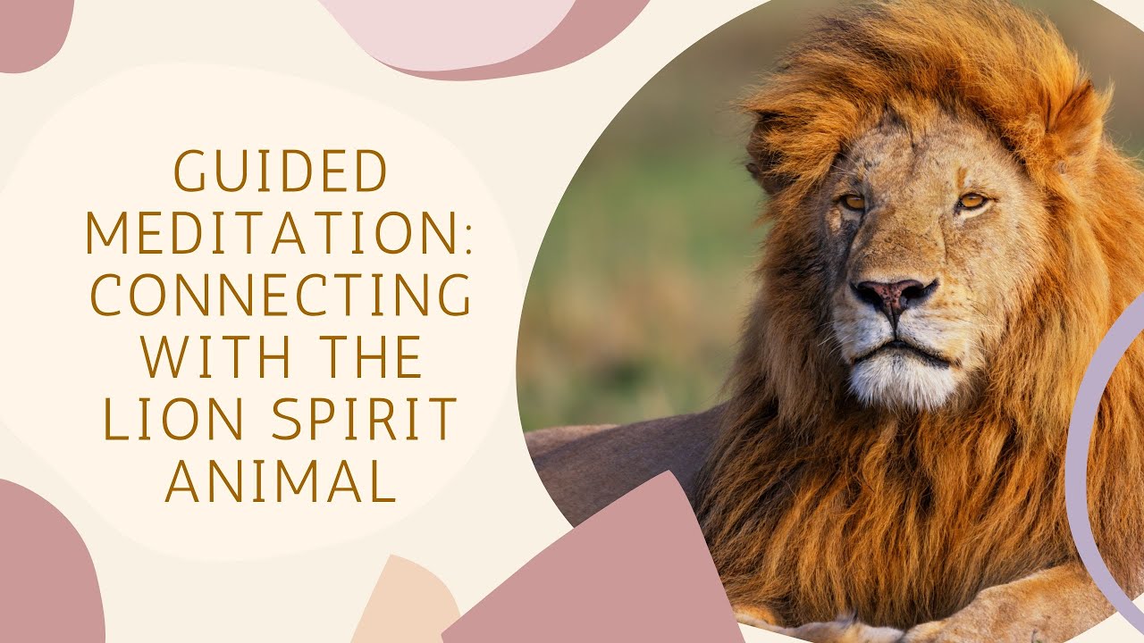Guided Meditation to Connect with Your Lion Spirit Animal 🦁✨