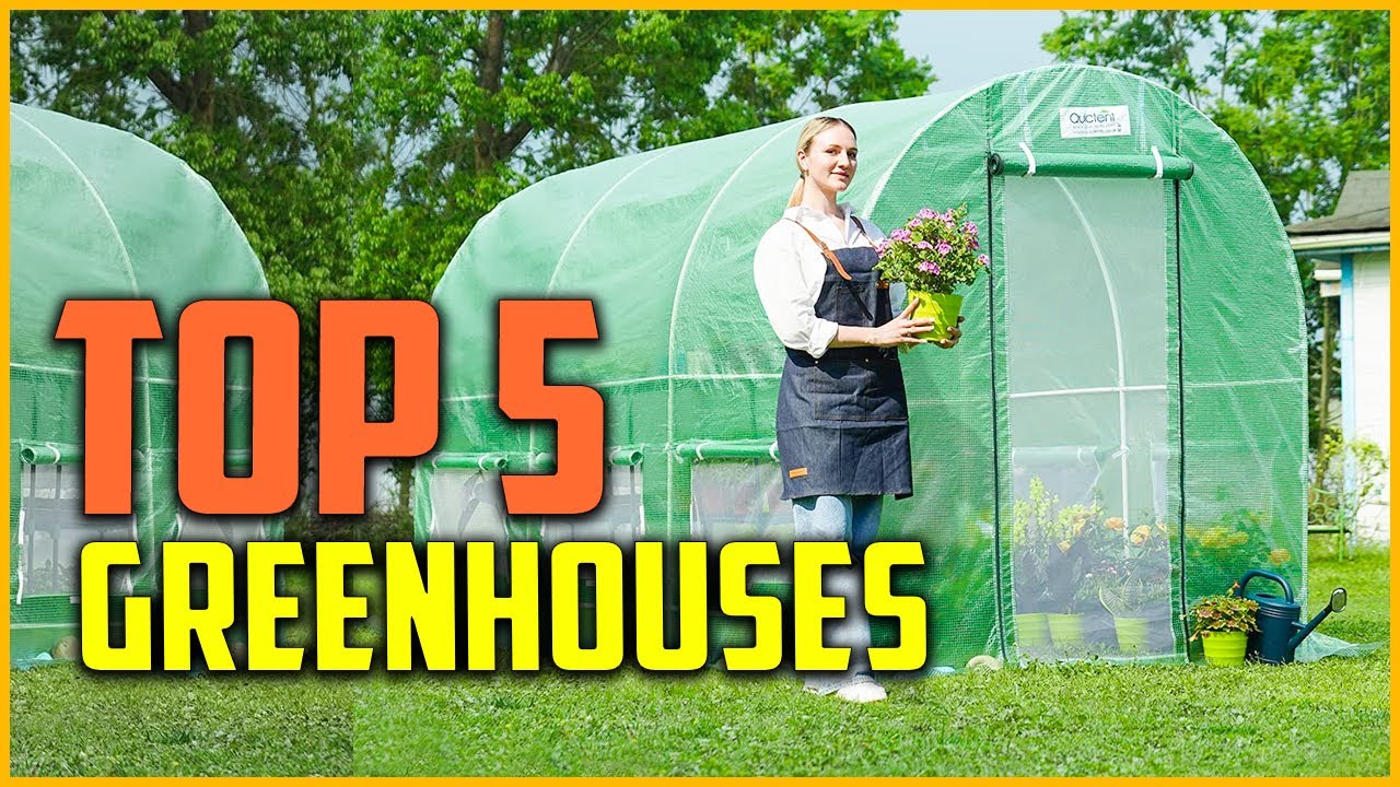 The 5 Best Greenhouses Reviews and Buying Guide In 2022