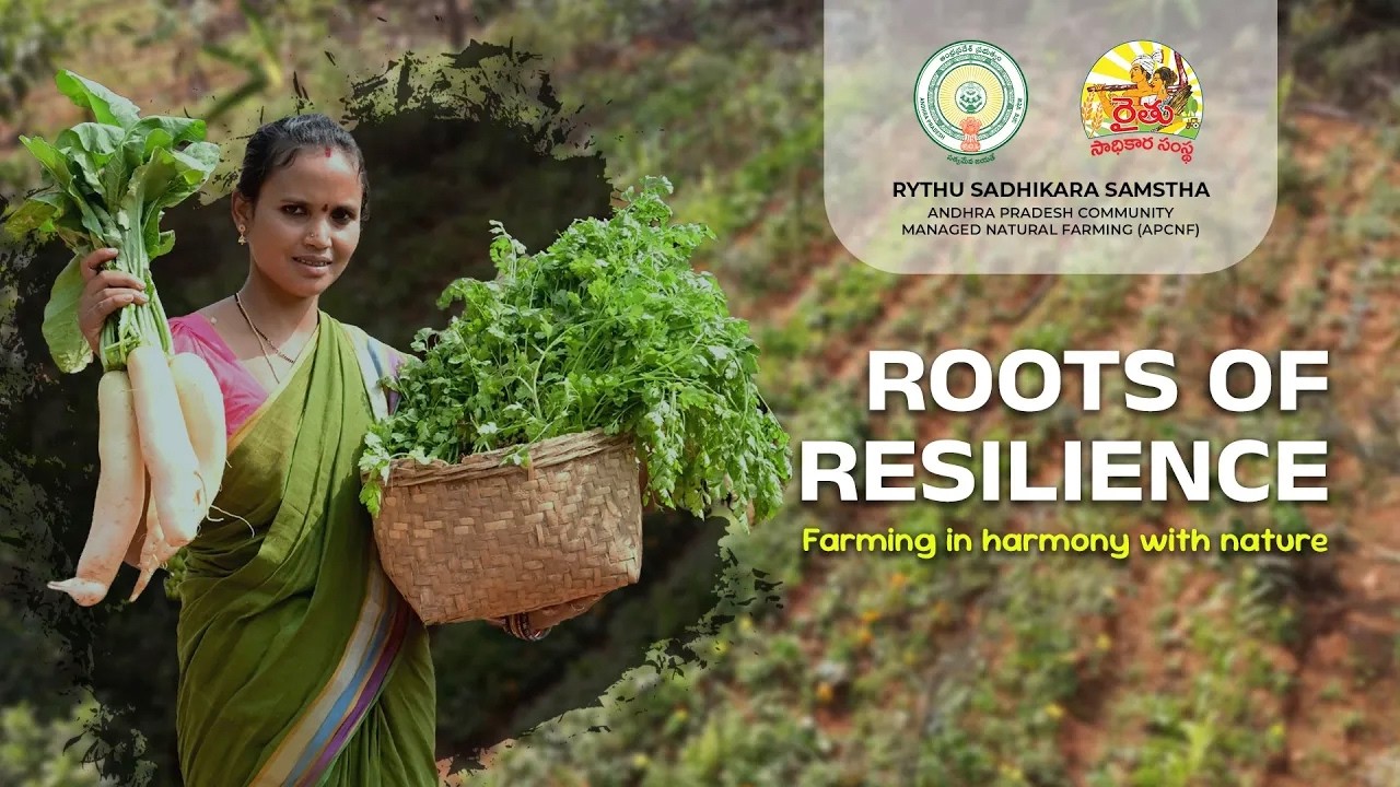 Roots of Resilience