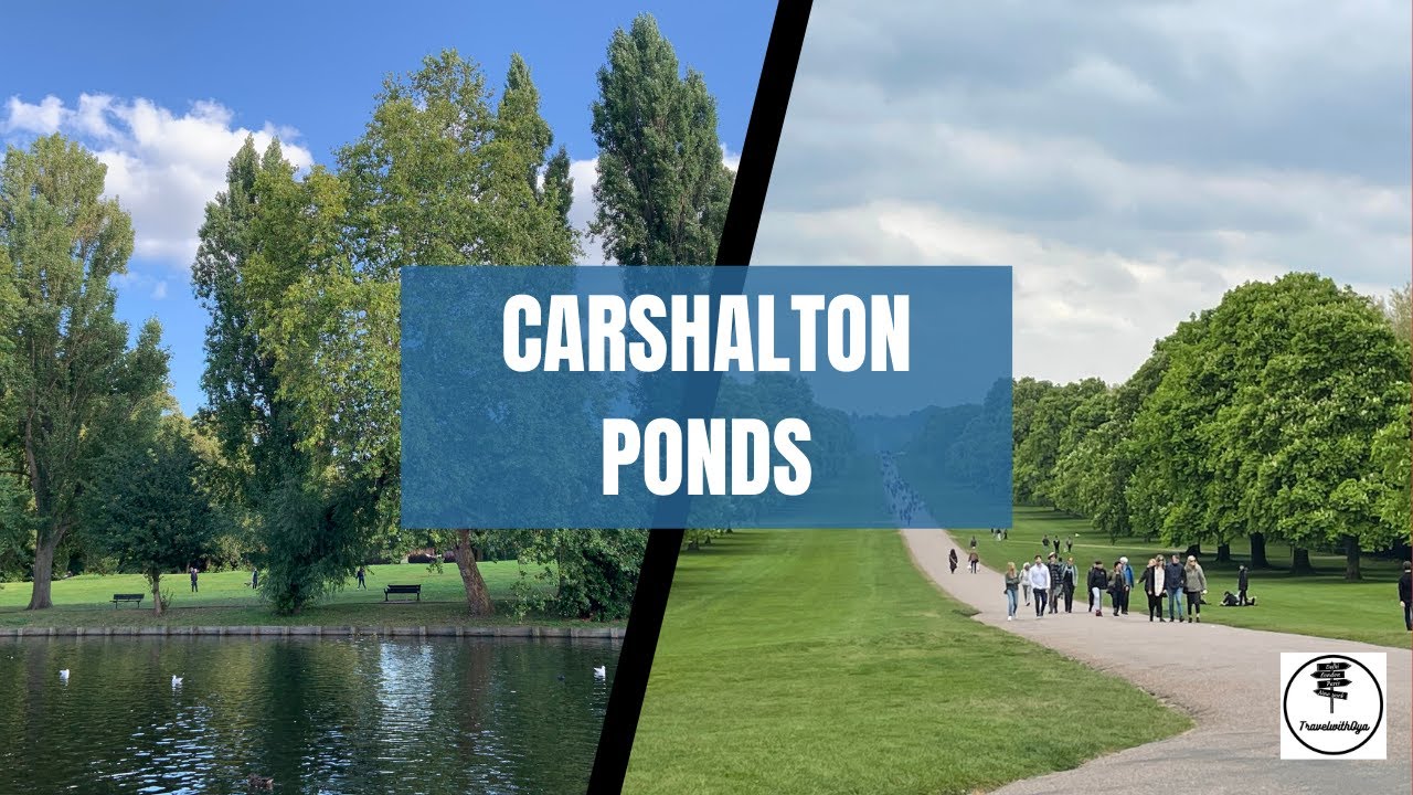 Carshalton Ponds | Sutton | water fall | UK | 4K