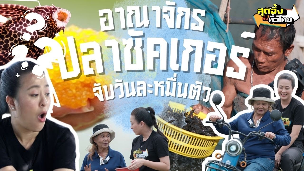 เปิดอาณาจักรซักเกอร์ส่งออก | สุดอึ้งทึ่งทั่วไทย