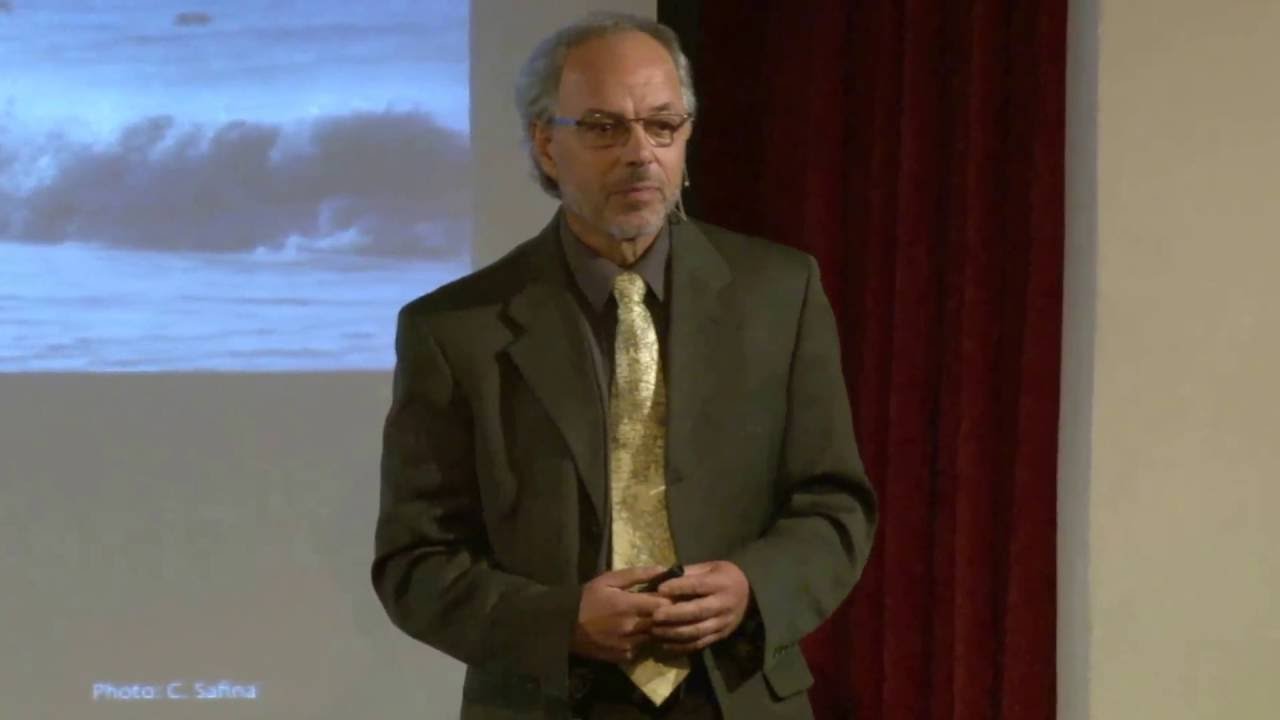 Carl Safina ‘What Animals Think and Feel’