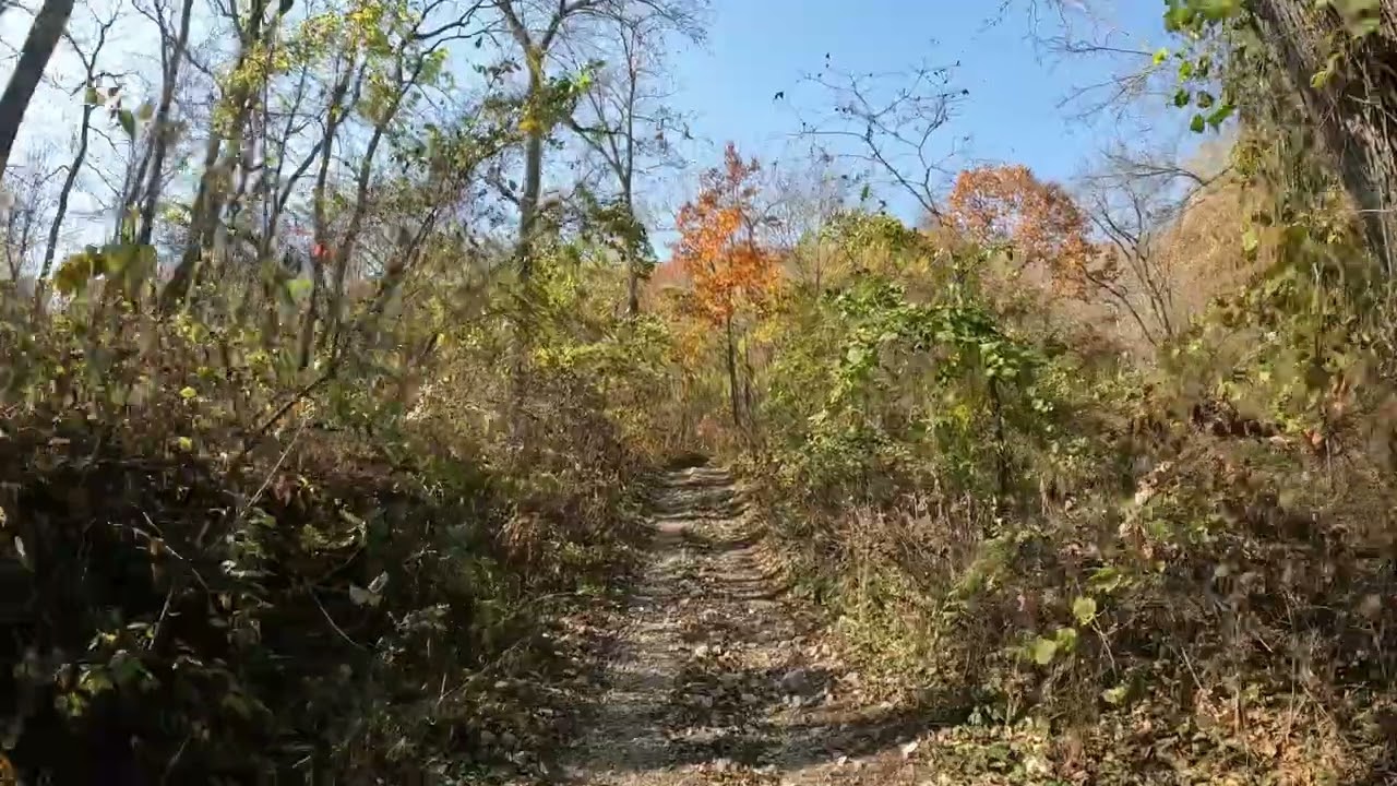 Trout Valley Trail.  Kellogg Minnesota 10-23-2022