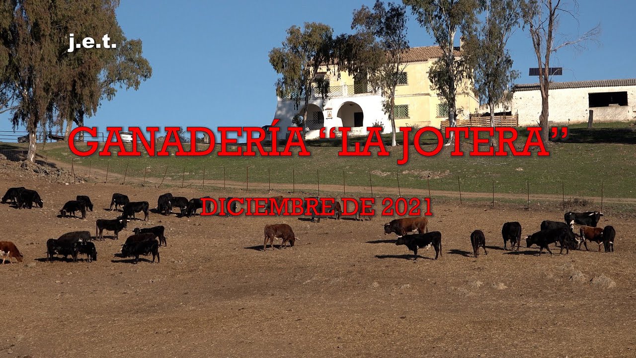 GANADERÍA "LA JOTERA" A DICIEMBRE DEL 2021