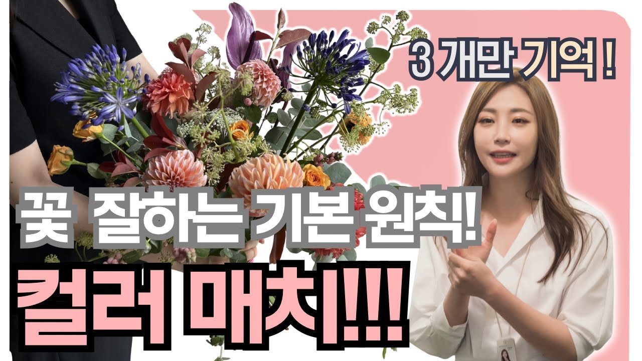  [기초]플로리스트 꽃 컬러매치 하는 방법ㅣ컬러매치의 정석1단계부터 3단계까지 완벽 정리