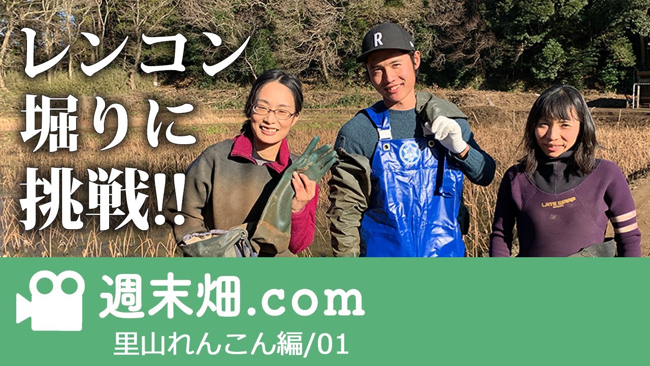 祝！女性農家初登場！ 里山でレンコン栽培 | せっかくなのでスタッフ総出でレンコン掘ってみた！