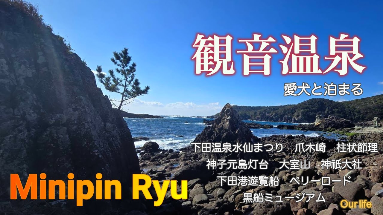 愛犬と泊まる/極上温泉/産土亭うぶすなてい/水仙まつり/爪木崎俵磯/柱状節理/神子元島灯台/大室山/神祇大社/ペリーロード/黒船ミュージアム/下田港遊覧船