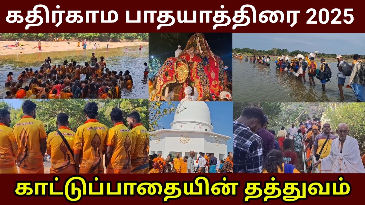 காட்டுப் பாதையில் நடந்தவை | கட்டுக்கடங்கா பக்தர்களின் மனமாற்றம் | யாத்திரை விருத்தம் | Katharagama