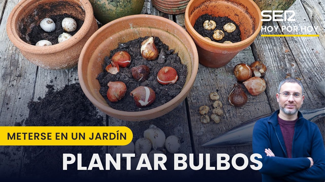 🖼️Bulbos, capullos y paseo botánico por el Museo del Prado | Meterse en un jardín, con Eduardo Barba