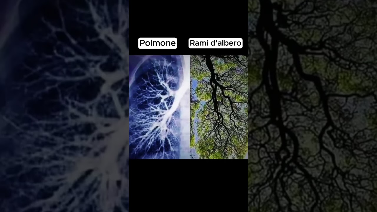 Coincidences #shorts