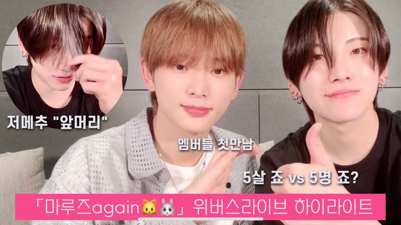 [앤팀 / 마루즈] - 「마루즈again🐱🐰」 하이라이트 모음