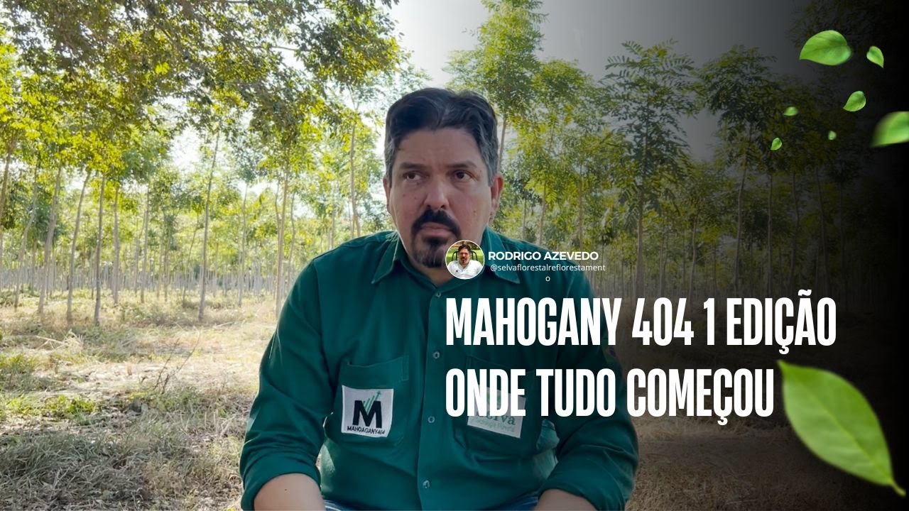 MAHOGANY 404 1 EDI&Ccedil;&Atilde;O - ONDE TUDO COME&Ccedil;OU