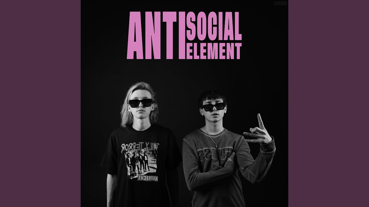 Anti Social Element