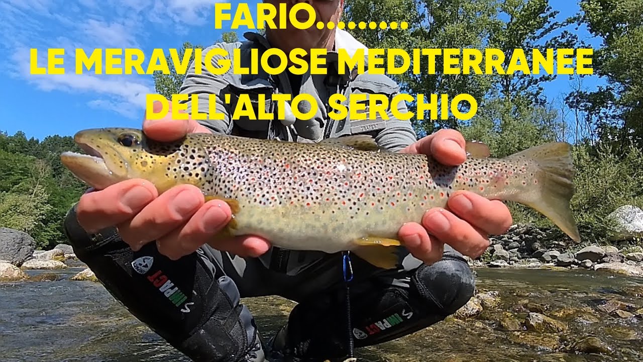 MEDITERRANEE !...Fario Spettacolo in Garfagnana In Alto Serchio A Ninfa e Secca  ZRS