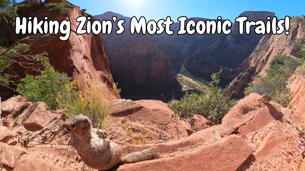 Zion National Park Adventure: Scouts Landing & The Narrows | Utah Big 5 Ep5