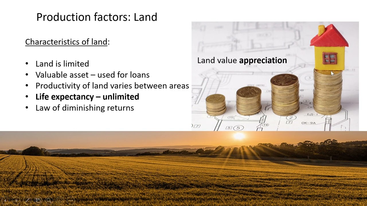 Economics   Lesson 1