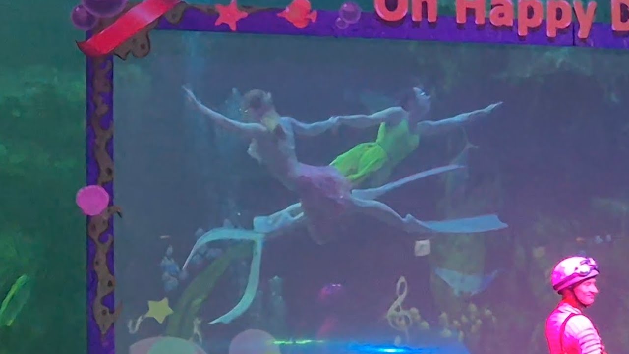 이번엔 일산이다! 아쿠아플라넷 일산 인어공주 공연! #아쿠아플라넷 #아쿠아리움 #인어공주 #mermaid #mermaidswimming #happy #birthday #생일파티 