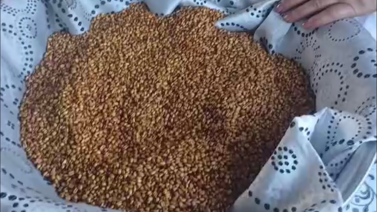 Qovurğa | Novruz bayramı hazırlıqları | Part II #fy #keşfet #fypシ゚ #keşfetedüş #keşfetteyiz #novruz 